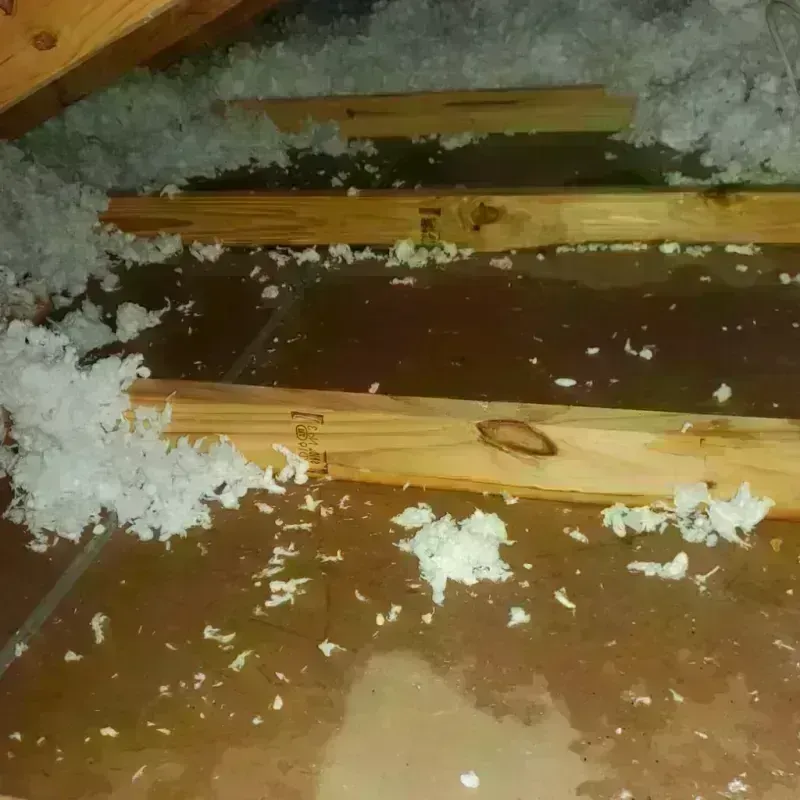 Attic Water Damage in Creola, AL