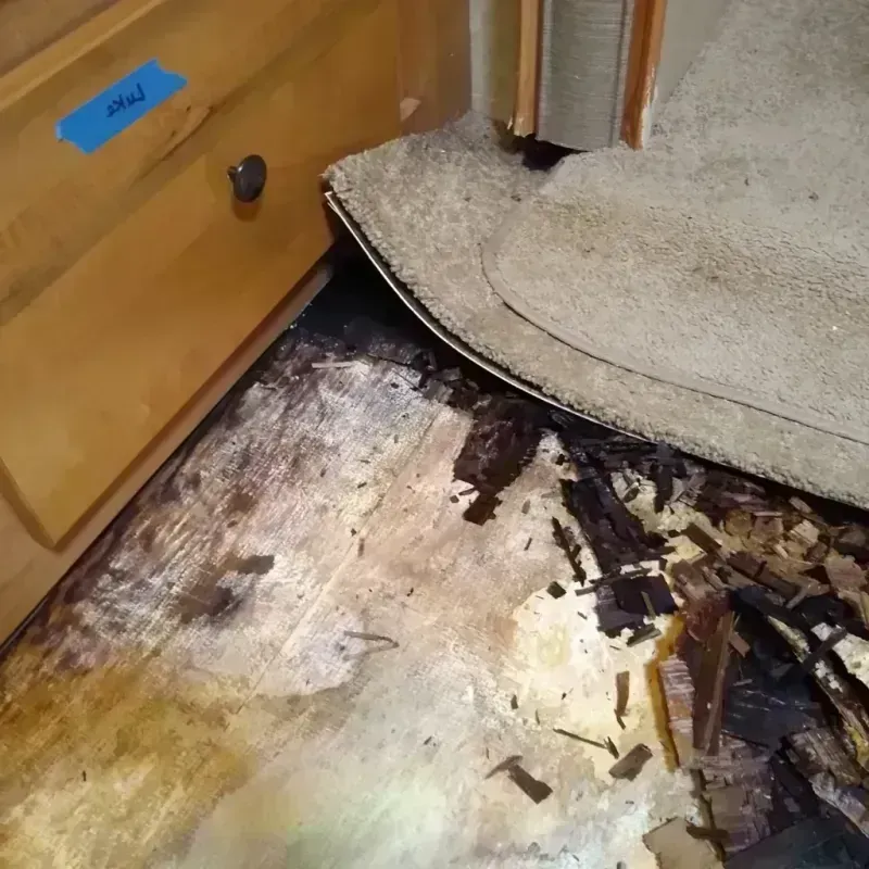 Wood Floor Water Damage in Creola, AL